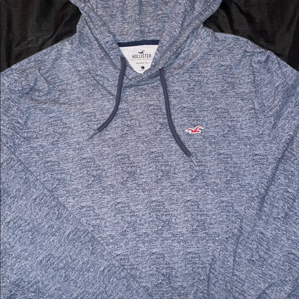 NWOT Hollister Hooded Tee (L)